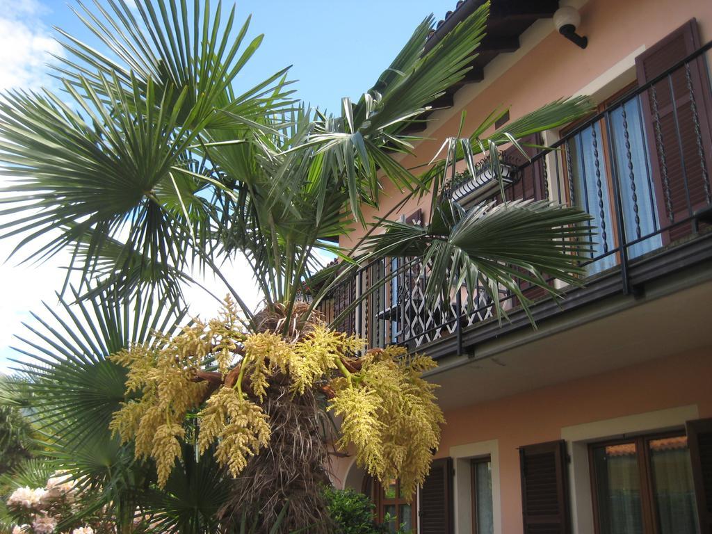 Villa Margherita Lake Maggiore Экстерьер фото