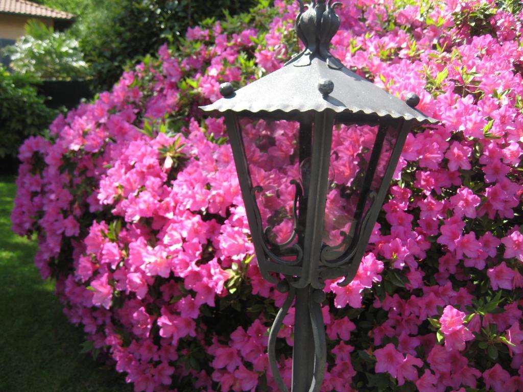 Villa Margherita Lake Maggiore Экстерьер фото