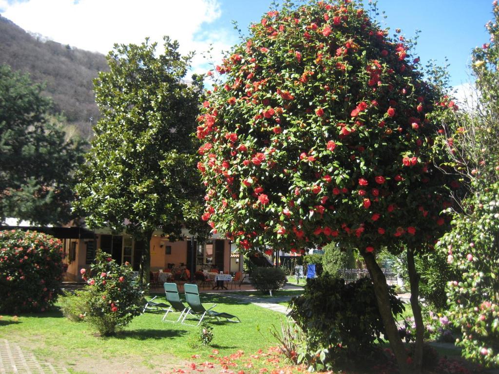 Villa Margherita Lake Maggiore Экстерьер фото